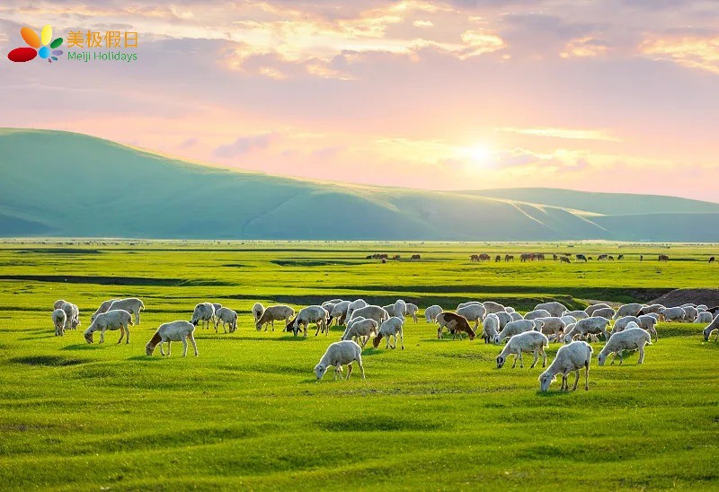 15-day Grassland Culture and Tourism in Inner Mongolia