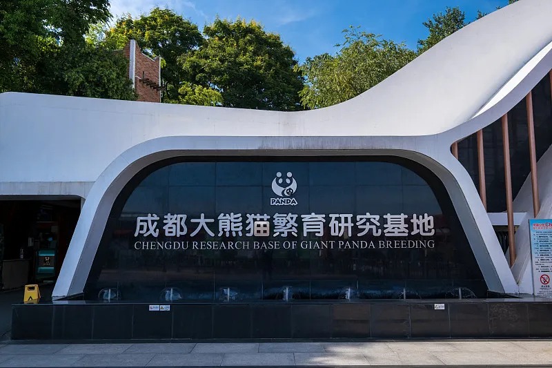 7-Day Panda Homeland & Mountain City Adventure: Chengdu & Chongqing
