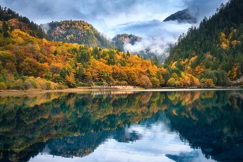 图片8.webp 图片8.webp