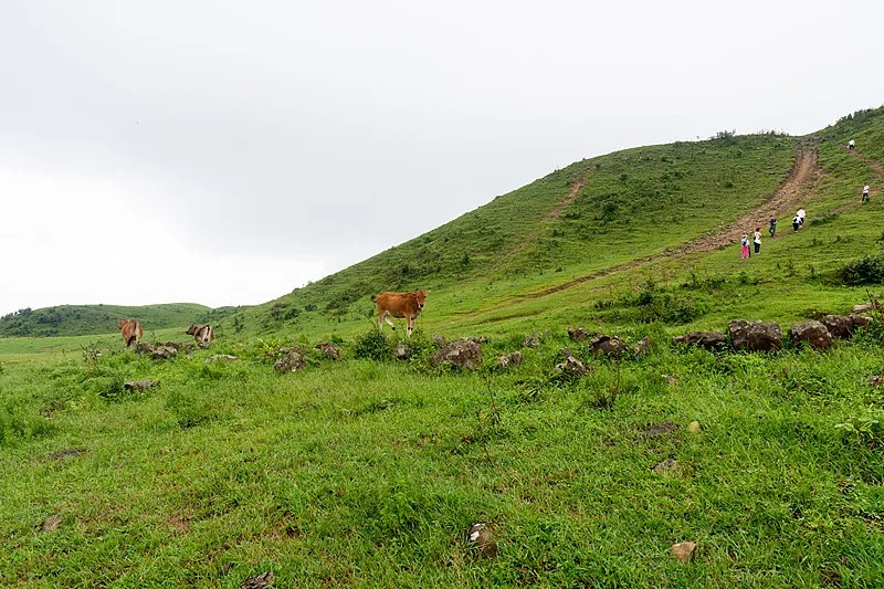 e917c1da9a305ed2895706a72f0025ea