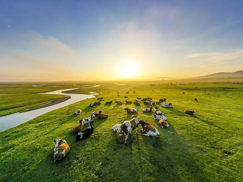 c0a6e23cdaaf62a98216884455cf9b3d