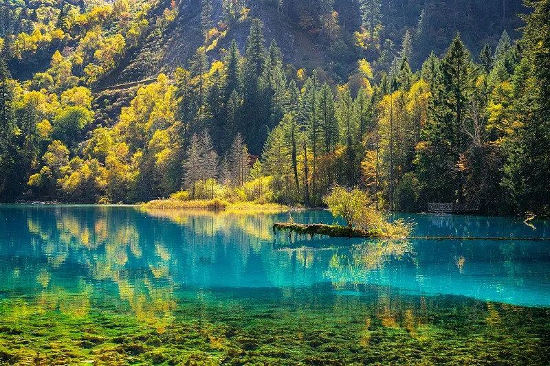 461cfa215ef3e967985083eb438a2ed3