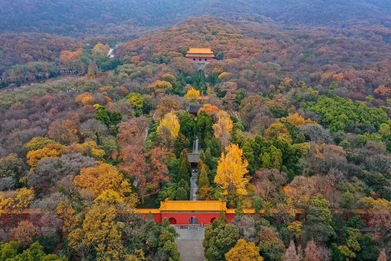 微信图片_20260506110132_310_2