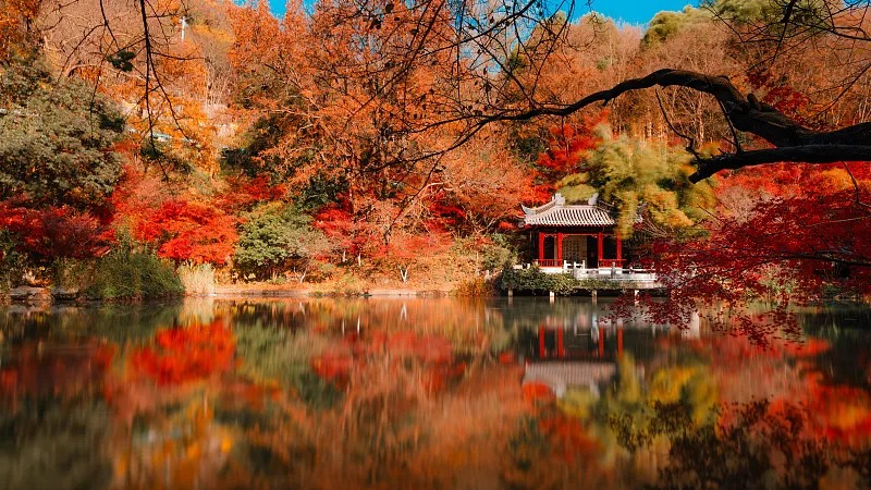 Nanjing 5-Day Jinling Cultural & Historical Study Tour