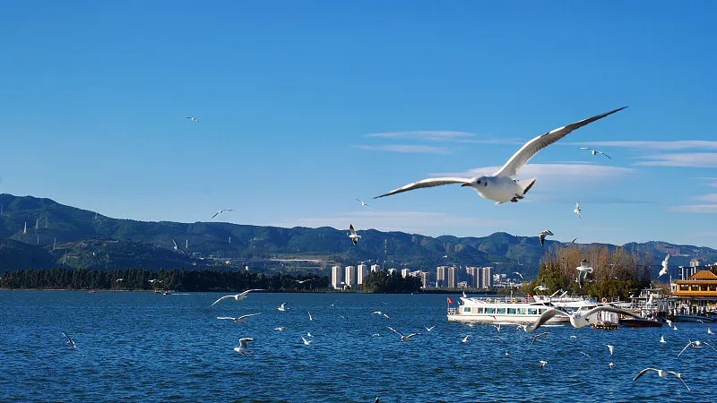 a5f1c8753272b52c2b26f88c3afdc1e5 a5f1c8753272b52c2b26f88c3afdc1e5
